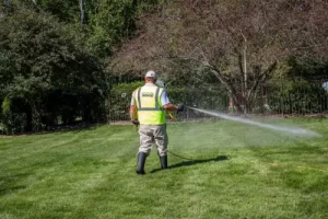 backyard spray 2