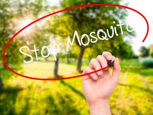stop mosquitos