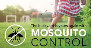 mosquito control 2
