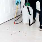 tips for a pest free home