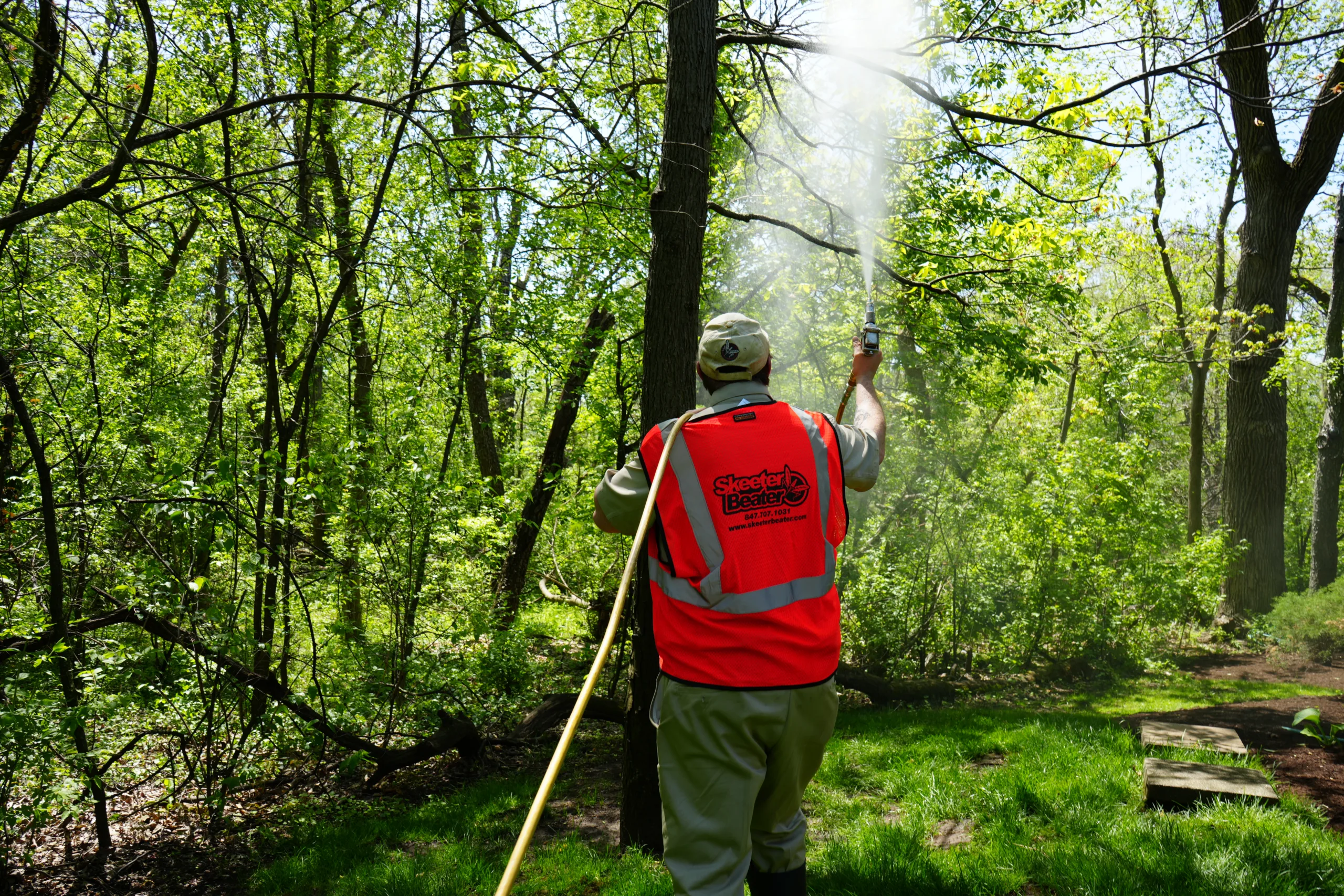 Mosquito Control Services A Comprehensive Guide