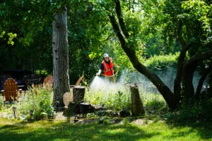 when to start spraying for mosquitoes