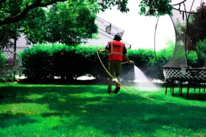 Skeeter Beater Mosquito Control Services - Spray