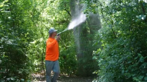 Skeeter Beater technician applying mosquito and tick barrier treatment in a Crystal Lake yard