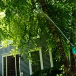 Skeeter Beater technician applying tick barrier treatment along a woodland edge in a residential yard